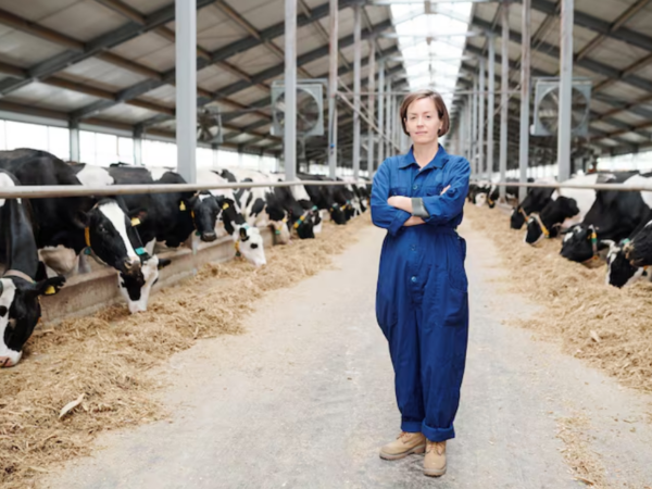 Macacão Brim é Suficiente para Seu Trabalho? Guia de Durabilidade