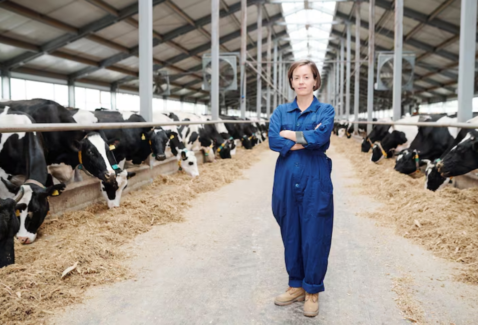 Macacão Brim é Suficiente para Seu Trabalho? Guia de Durabilidade